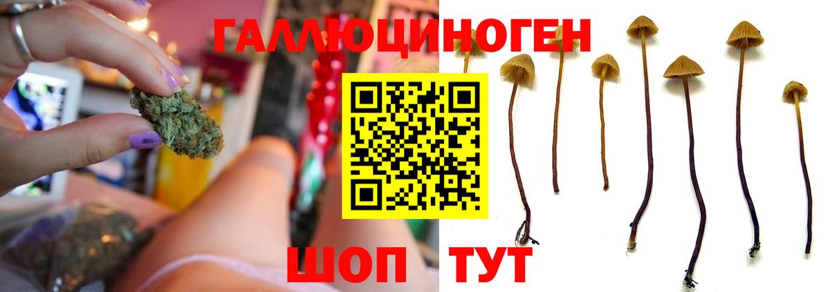 Галлюциногенные грибы мицелий Аргун